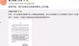 用代号爆料娱乐圈的小说,娱乐圈幕后风云录
